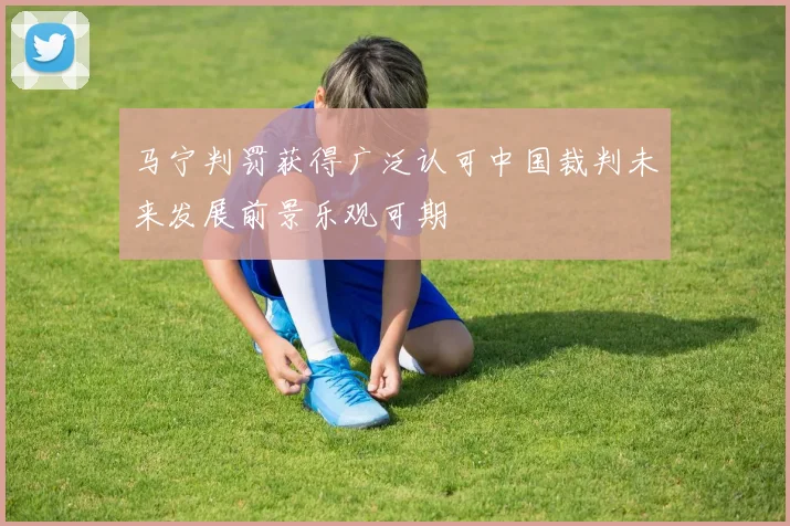 马宁判罚获得广泛认可中国裁判未来发展前景乐观可期