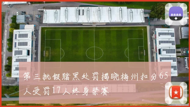 第三批假赌黑处罚揭晓梅州扣分65人受罚17人终身禁赛