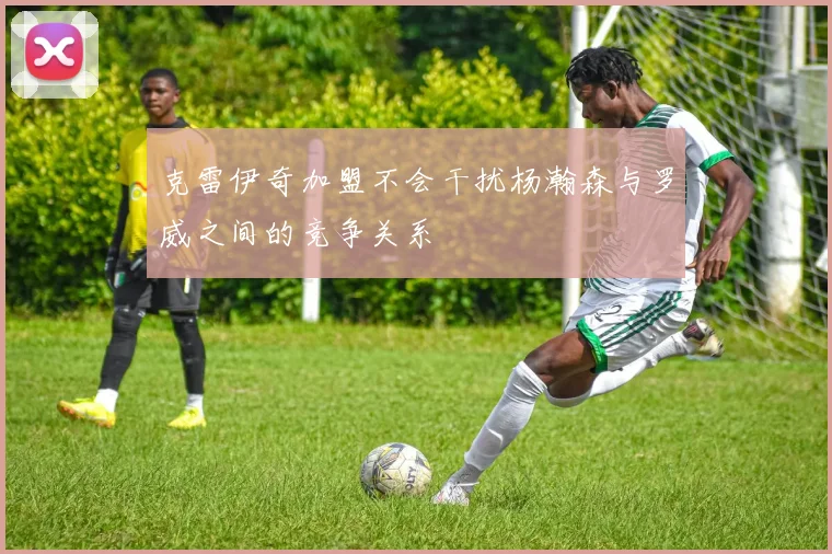 克雷伊奇加盟不会干扰杨瀚森与罗威之间的竞争关系